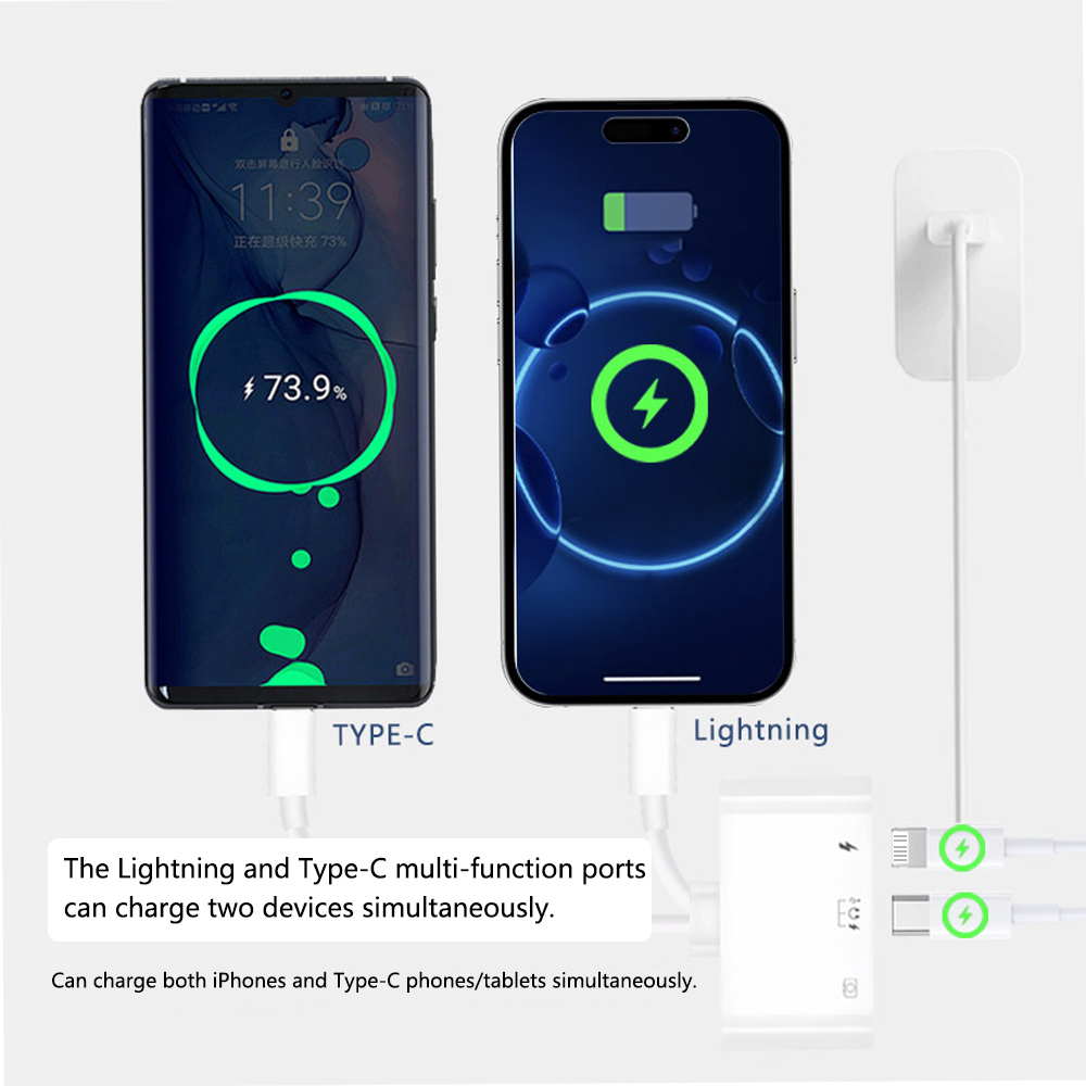 2 en 1 Lightning Type C vers U - Wired Earphone Lightning avis et prix